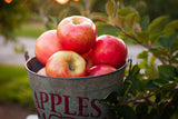 Apple Bushels Wax Melts