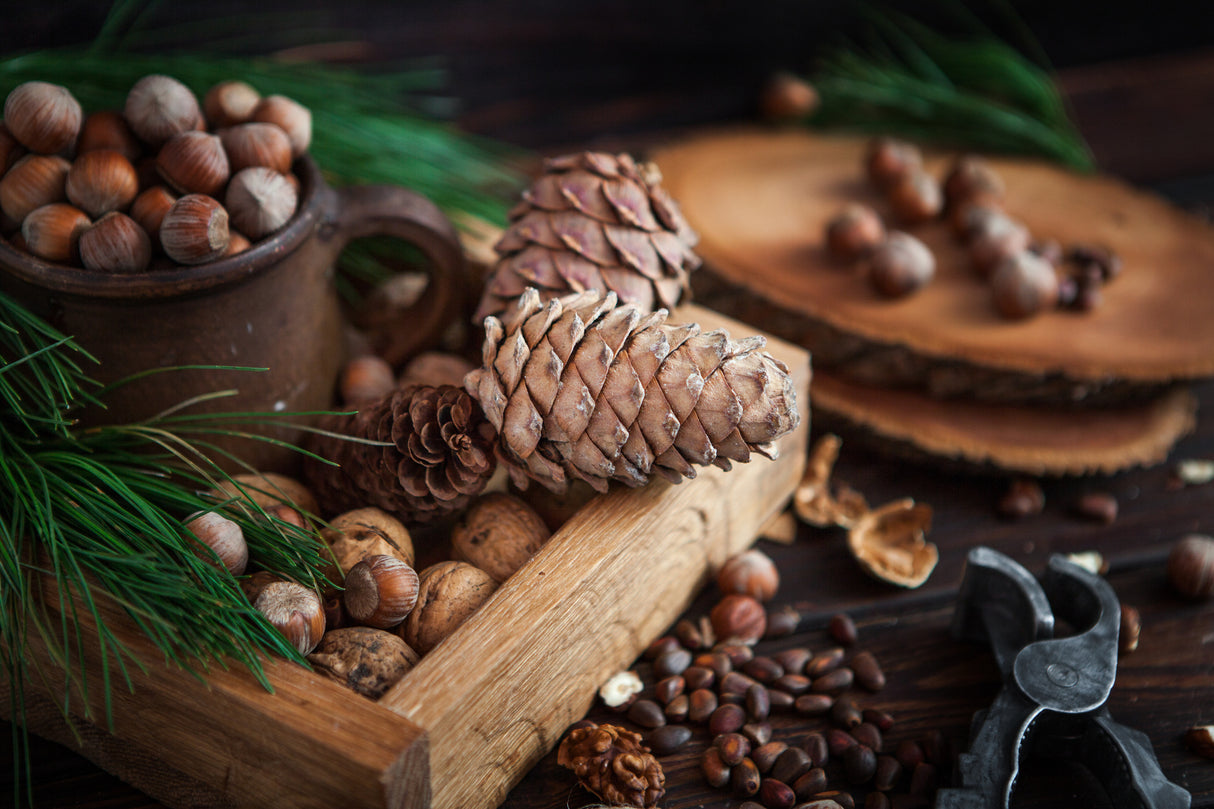 Toasted Pinecone Candle