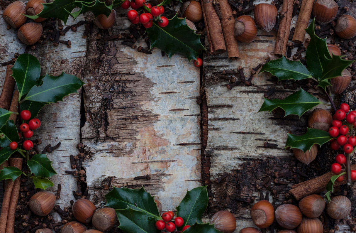 White Birch & Cinnamon Candle